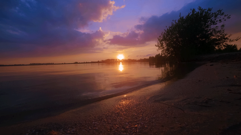 Sunset Lake Bush